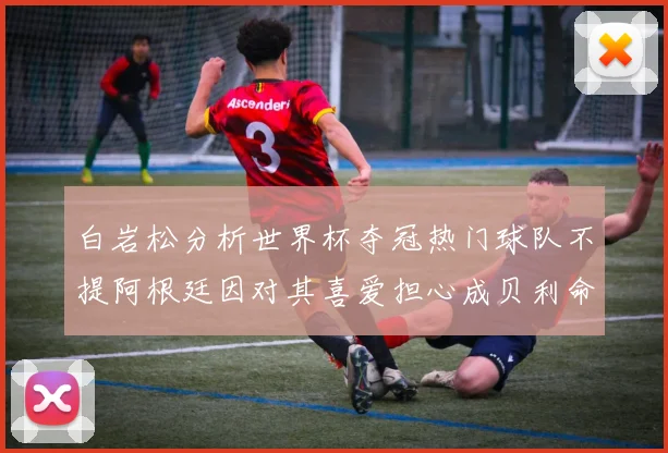 白岩松分析世界杯夺冠热门球队不提阿根廷因对其喜爱担心成贝利命运